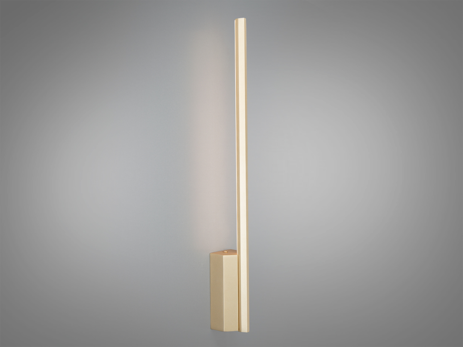 Настінний світильник з вертикальним монтажем, мінімалістичний дизайн, підходить для сучасних інтер′єрів.