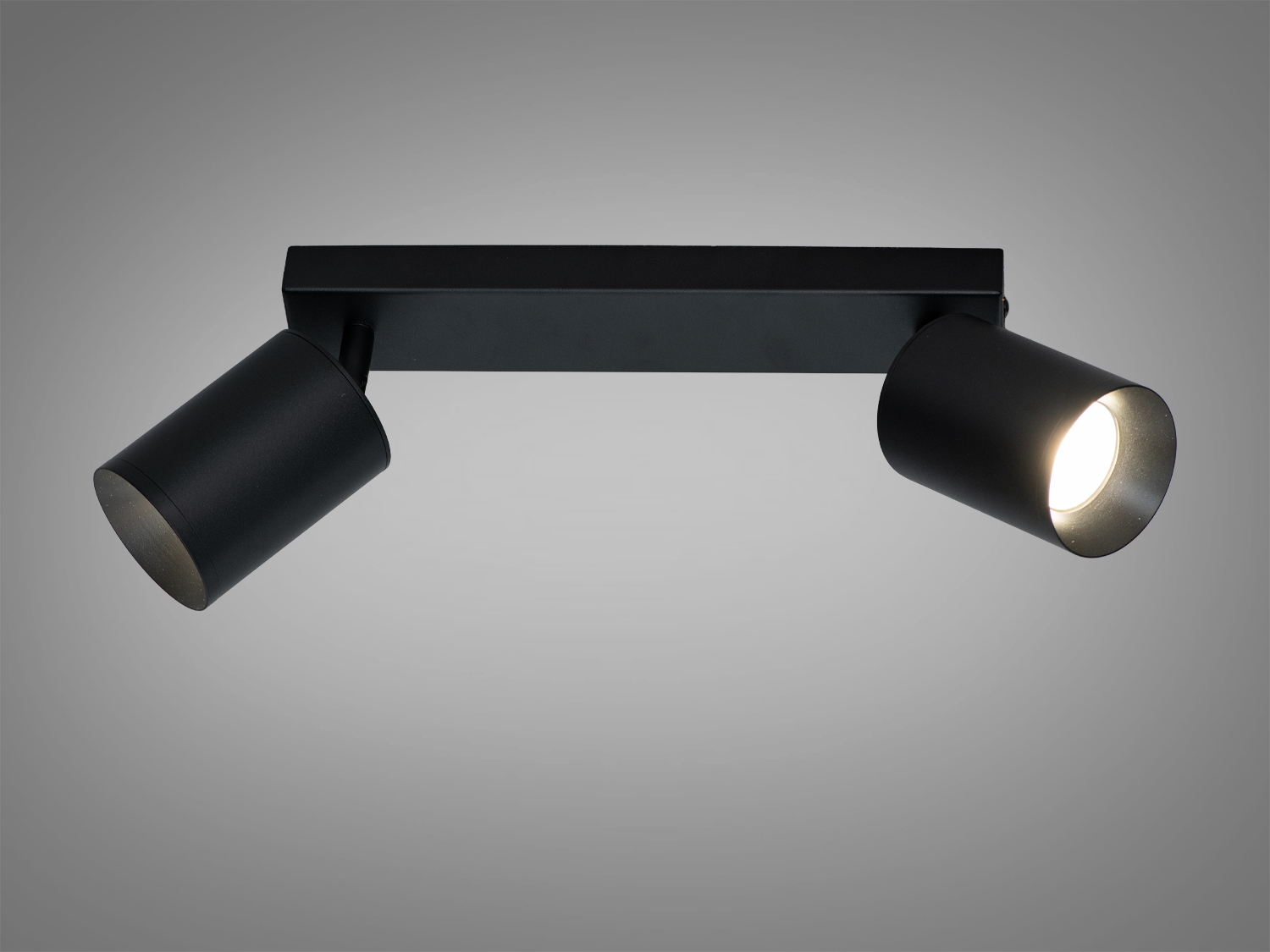 Чорний стельовий світильник з регульованими циліндричними лампами. Ідеально підходить для акцентного освітлення в офісах.
