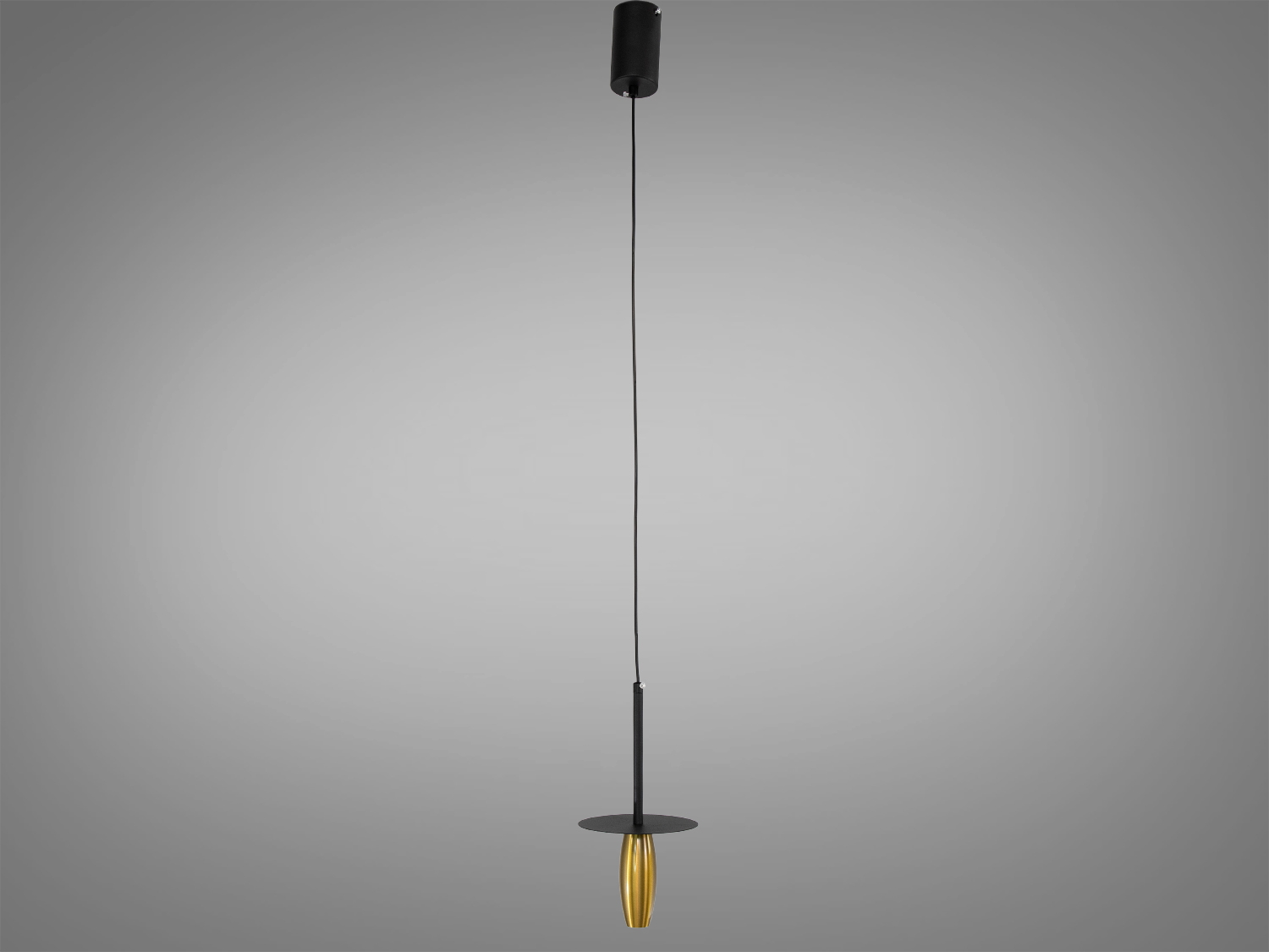 Довгий підвісний світильник з тонким чорним кабелем і золотистим корпусом. Ідеальний для високих стель, створює акцентне освітлення.